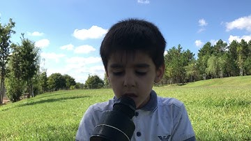 تلاوت سوره اخلاص با صدای محمد یوسف طفل شش ساله#تلاوت_قرآن_سوره_اخلاص_محمد_یوسف_جدید_