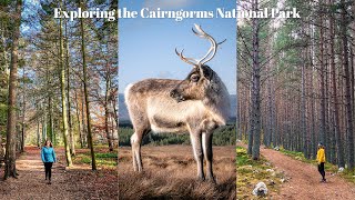 Exploring the Cairngorms National Park | Hiking Cairn Gorm, Photographing Reindeer & Balmoral Castle