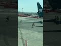 Viral video: Dog escapes from baggage handlers, runs around the plane