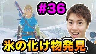 【ゼルダの伝説】雪山登山してたら氷のバケモノ出現！瞬殺するぜい！#36
