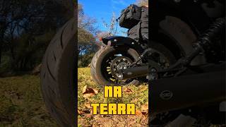Mais Terra? Indian Sport Scout Limited