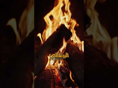 عمرك لاحظت إن النار ليها كذا لون  غرائب معلومات  