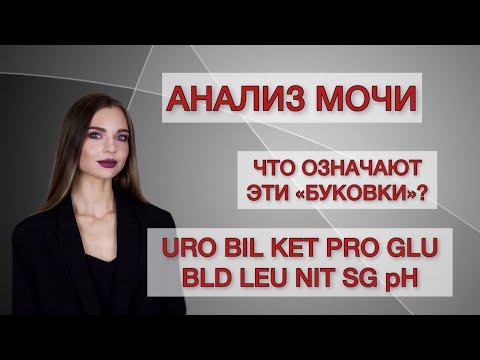 Как расшифровать общий анализ мочи?