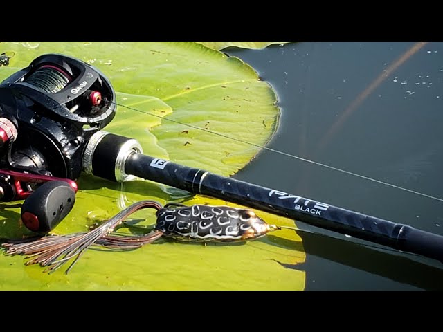 13 Fishing Fate Black First Impressions - YouTube 13 Fishing Fate Black First Impressions - YouTube