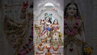 जय श्री राधे कृष्ण🙏#freerista#zarooratrishta #aveeplayr#trending #ytshorts#shortvideo #viral #love