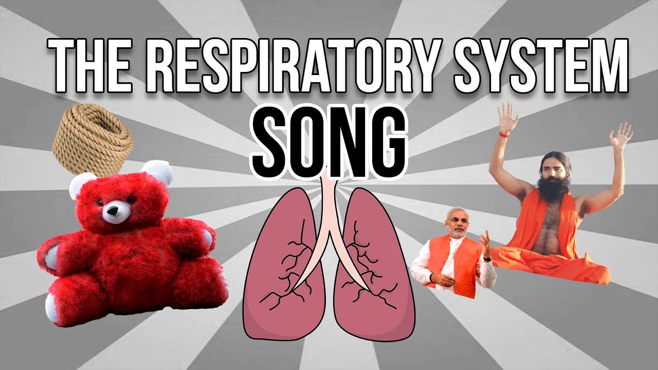 The Respiratory System The Respiration Song (Hindi) by Aakash Pathak