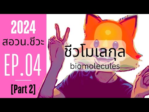 EP.04/31 [PART2] - Biomolecules - NSTDA Biology 2025
