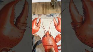 Tias Maine Lobster Rolls Llc Warner Robins Ga 31093