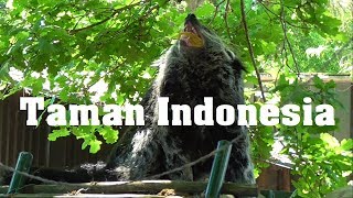 Download Lagu Taman Indonesia MP3
