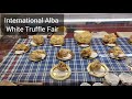 3 min alba  international alba white truffle fair  40 years of flavor