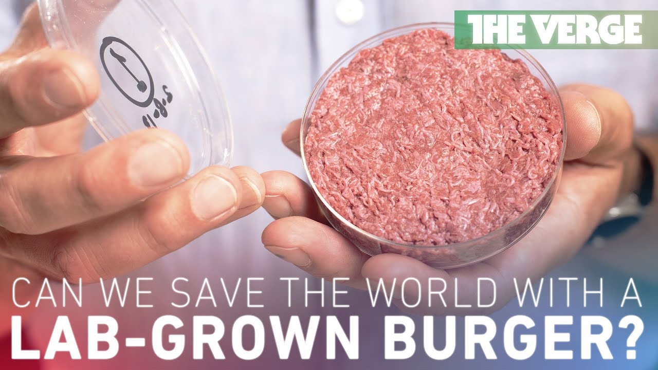 Could a labgrown burger save the world? YouTube