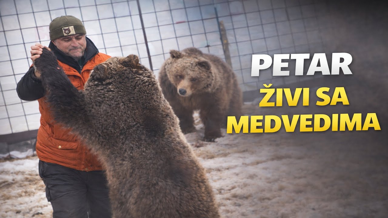 Medvedice Maša i Ljubica žive sa Petrom na planini: One su mu članovi porodice