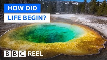 Unravelling the mystery of how life began on Earth - BBC REEL