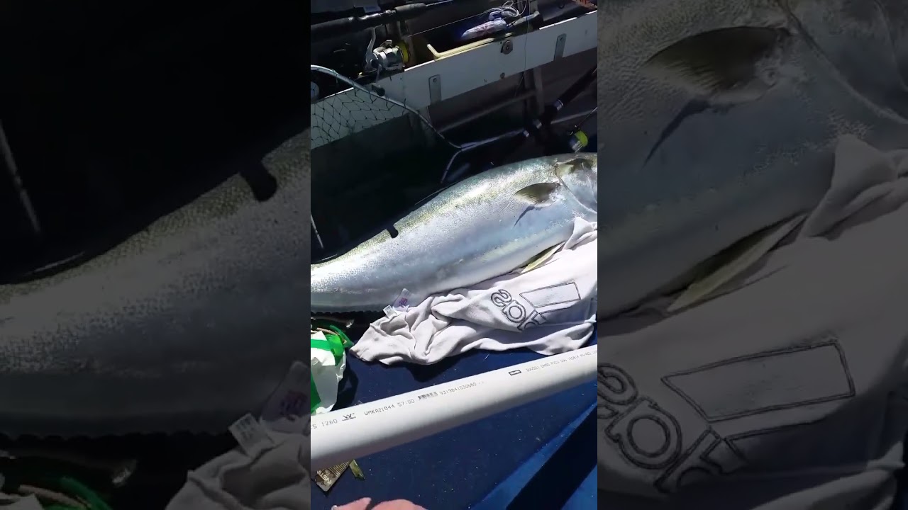 Murder on the boat floor😂