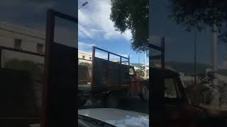 Dog Standing on Moving Vehicle’s Hood