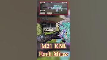 Buffed or Nerfed ? M21 EBR - Each Meow  #codm #codmobile #callofdutymobile #callofdutymobilegamplay