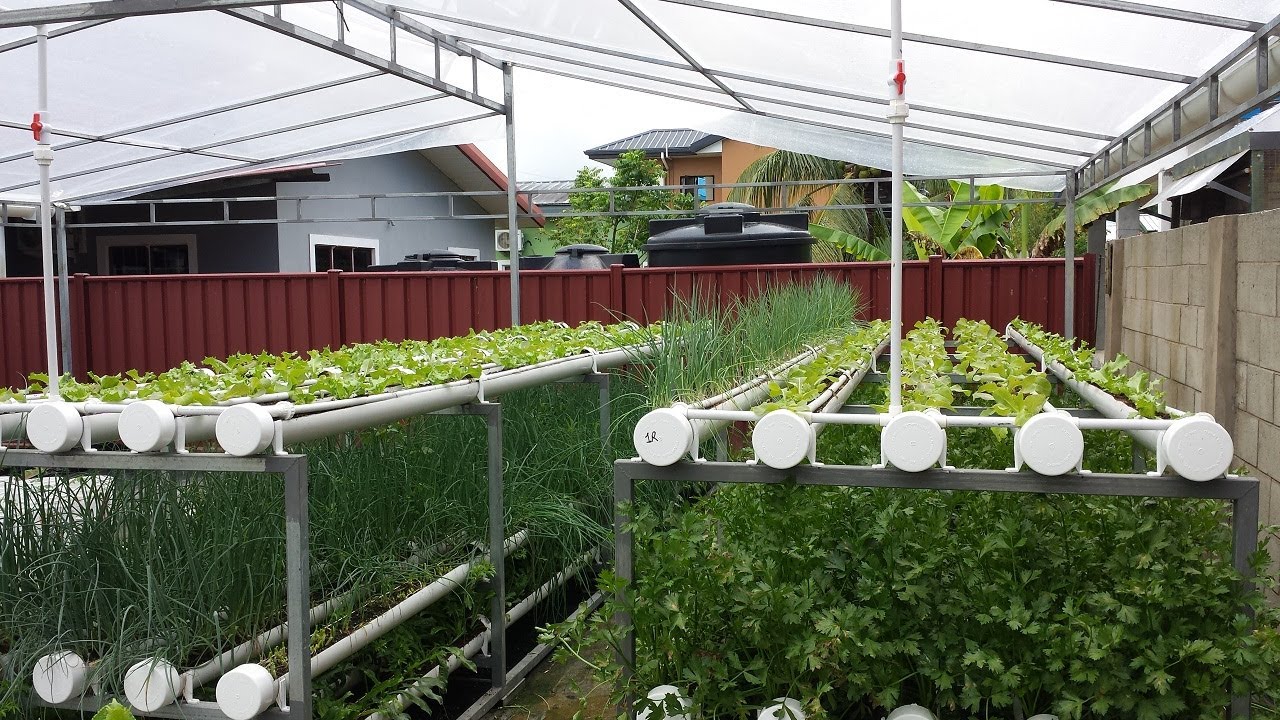 Backyard hydroponics