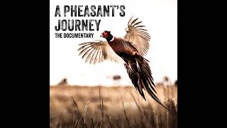 A Pheasant's Journey: The Documentary