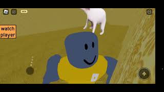 Surviving The Danceing Dog In The Backrooms