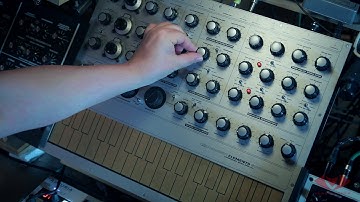 Macbeth Elements Springverb