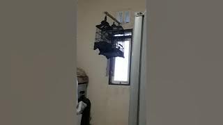 Suara burung Trucuk saingan dengan Ciblek