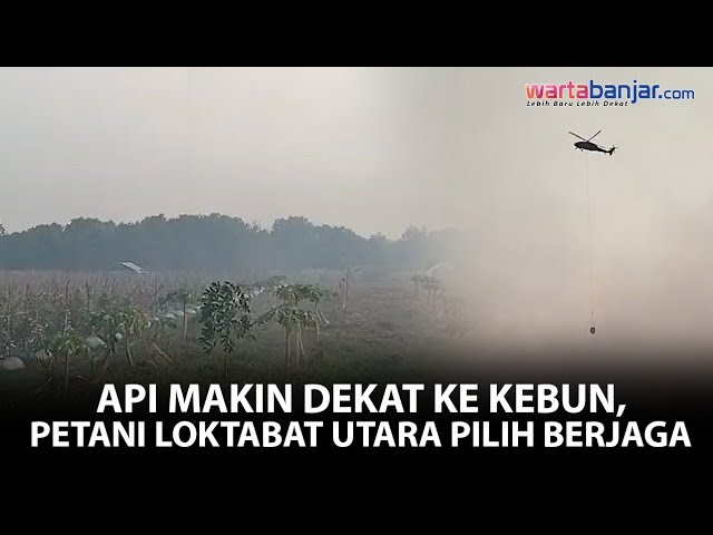 VIDEO - Petani Loktabat Utara Tak Tenang, Api Karhutla Terus Bergerak Mendekat