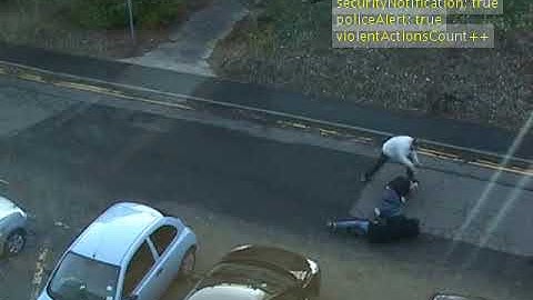 AI-driven Fight Detection to Ensure Protesters’ Safety and Prove Police Brutality