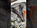ganesh ji drawing with charcoal and colour pencil #art #drawing #realistic #shorts