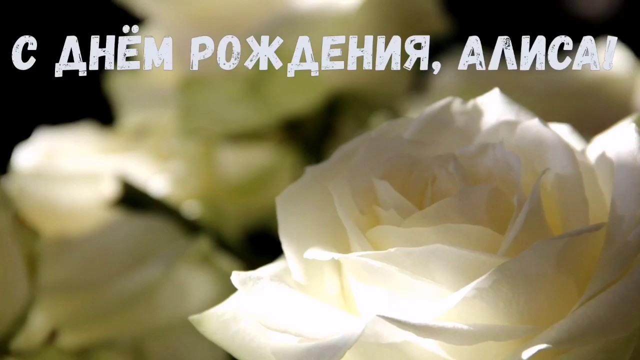 Музыкальное Поздравление С Днем Рождения Алиса