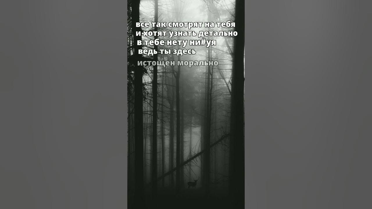 Ты одна из причин моей улыбки. Я обещаю. Если любишь люби без обмана если веришь то верь до конца. Ты причина по которой треки. Самый грустный трек.