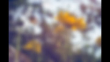 Dead Robot X Saphir - Vampire