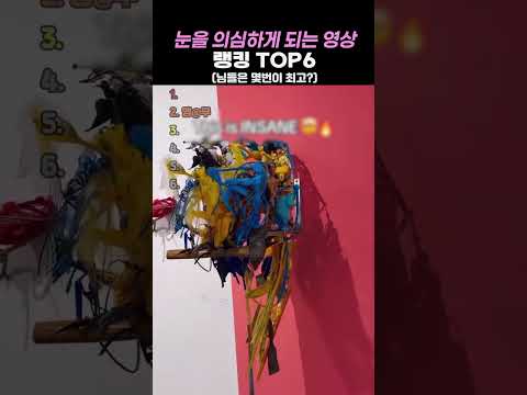 눈을 의심하게 되는 영상 TOP6 thumbnail