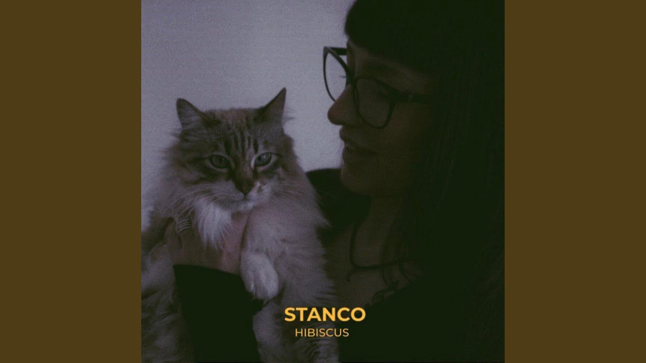 Stanco adlı videoyu YouTube'da izle Stanco adlı videoyu YouTube'da izle