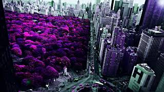 MagiCXbeats - Central Park (Central Version)