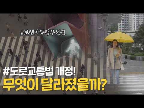안전을 위한 #도로교통법 개정! 무엇이 달라졌을까?🧐