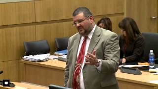 Celebrity Jodi Arias Trial Day 13 (Full) Net Worth