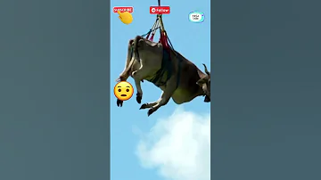 حقوق البقرة Innovation ابداع Yasostudio Motivation 