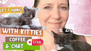 Kitty Chaos, Coffee, and Chat!