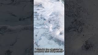 KALEM SURESİ #shorts #ayet #kuran #amin #kuranıkerim #kuranmeali