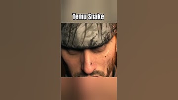 🍥 Temu Snake in Death Stranding 2 #deathstranding2 #hideokojima #deathstranding #snakeeater