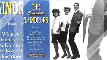 Raindrops - The Kind Of Boy You Can't Forget - 1963