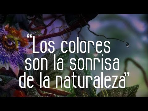 Los colorez son la sonrisa de la naturaleza