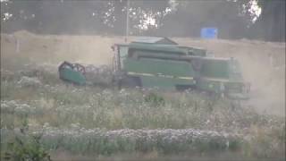 Moisson de colza 2018  {Canon}