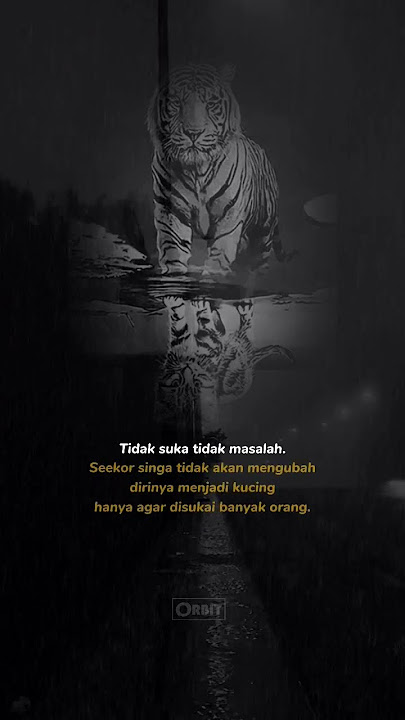 gimana jadinya macan berubah kucing 🤣 | #quotes #motivasi #story #storywa #kehidupan #motivation