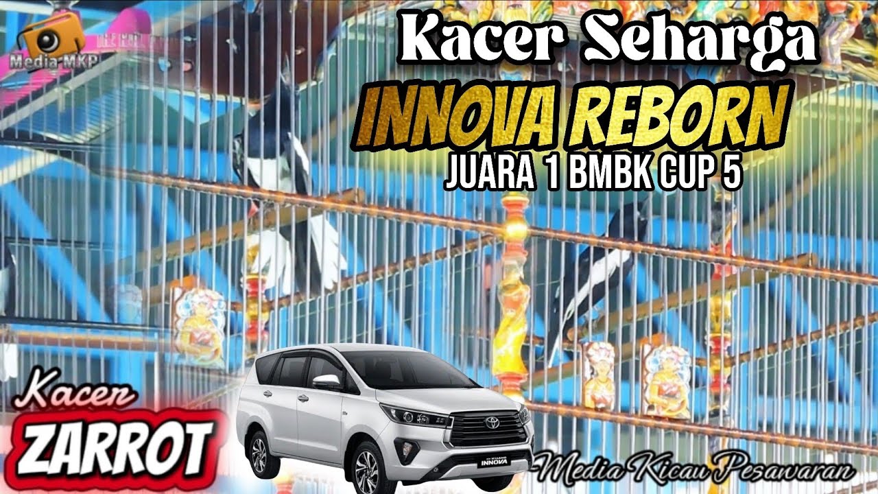 Kacer Legend Lampung‼️ Kacer Zarrot Mendominasi di BMBK CUP 5‼️