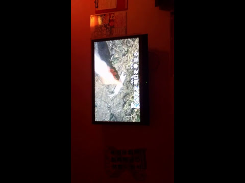 福山雅治　ミルクティー　熱唱〜
