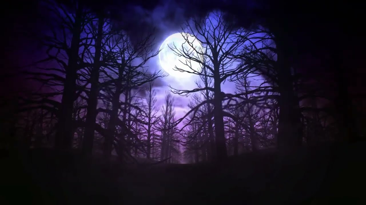 full moon at night, creepy forest, purple stars, free vj visual loop