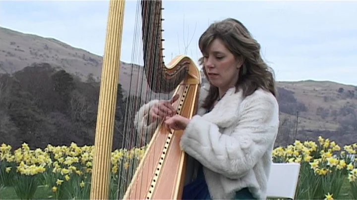Alison Horn Harpist