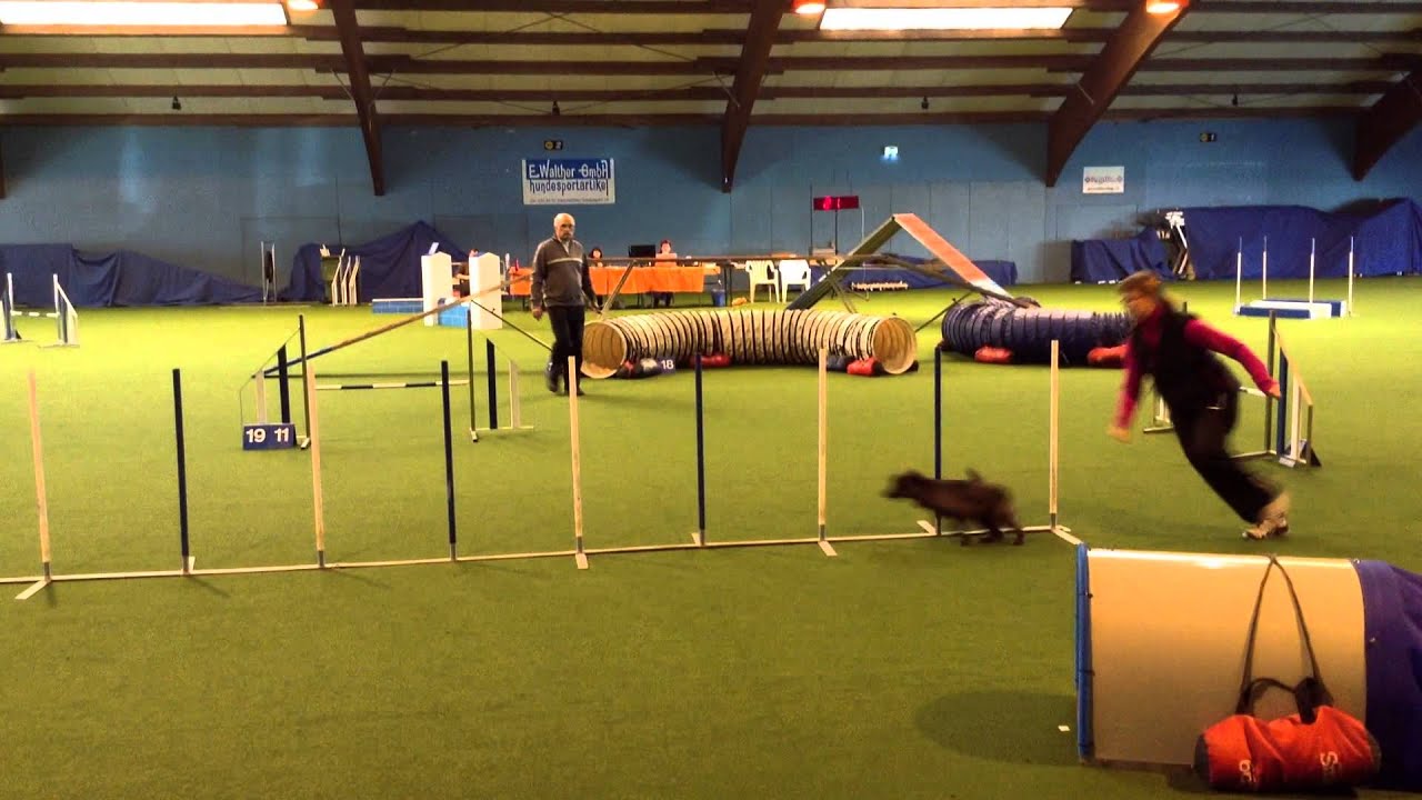Agility Meeting Lengnau