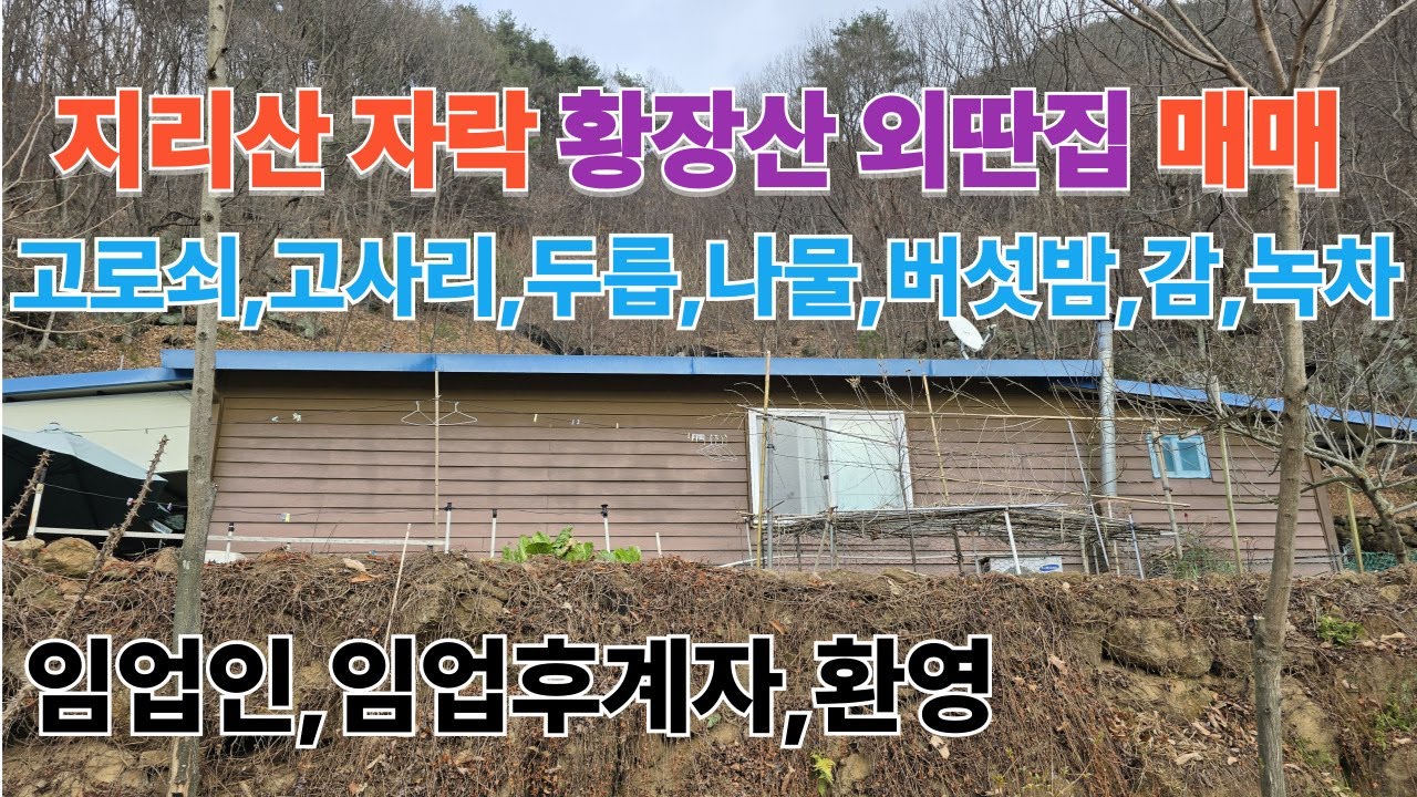 지리산 자락 깊은 산속 황장산의 외딴집 매매 #구독 #좋아요 #지리산 #귀촌